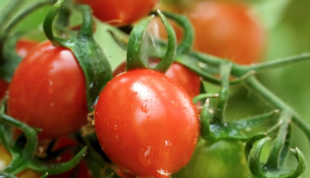 1716515362649113.png 1716515362649113.png