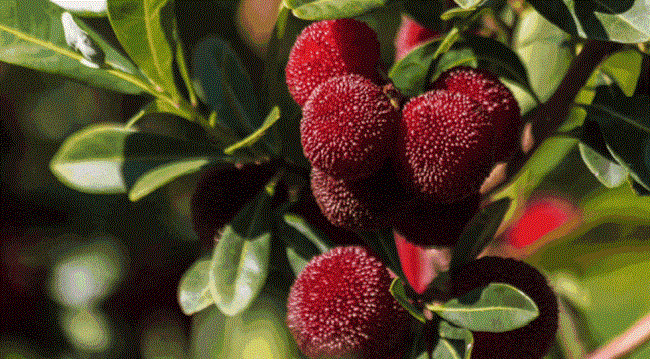 1719038004132971.gif 13.gif